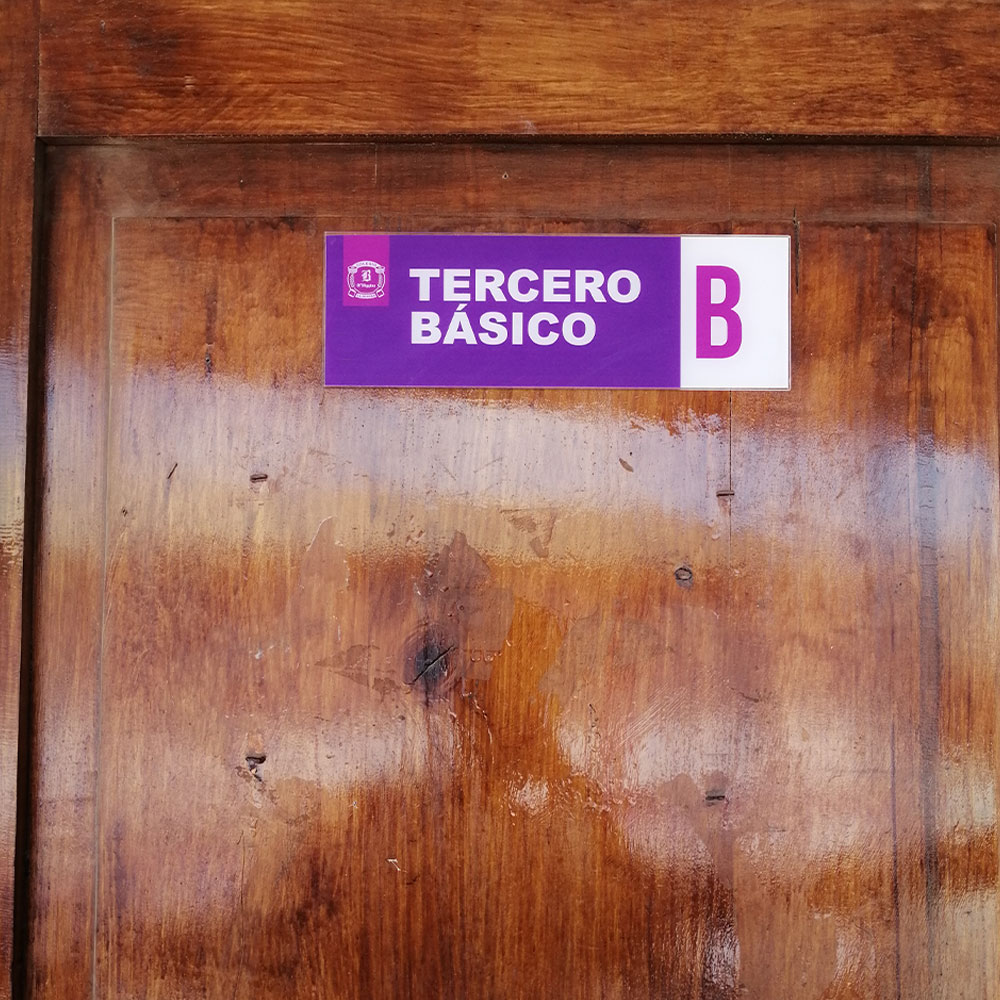 Imagen 7